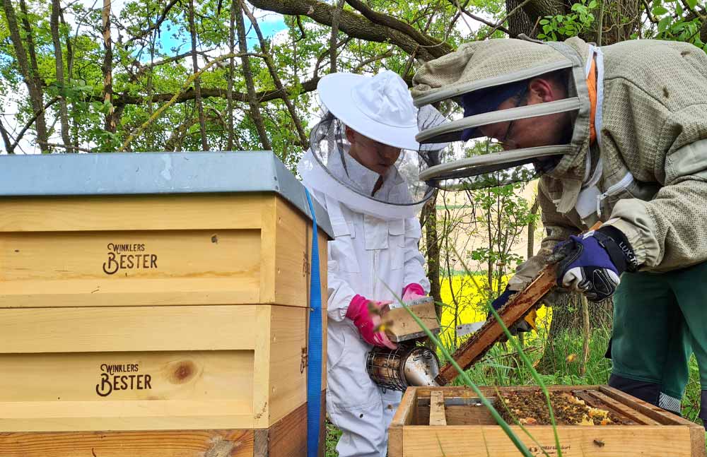 Deine Bienen-Patenschaft bei WINKLERS BESTER