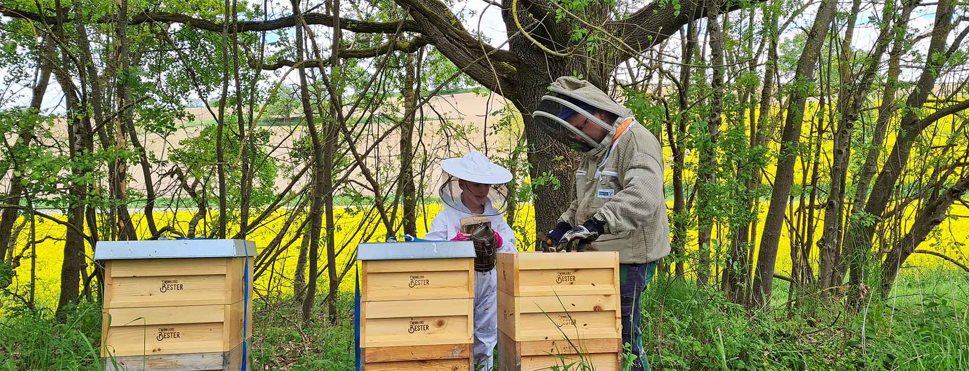 Winklers Bester Imagevideo